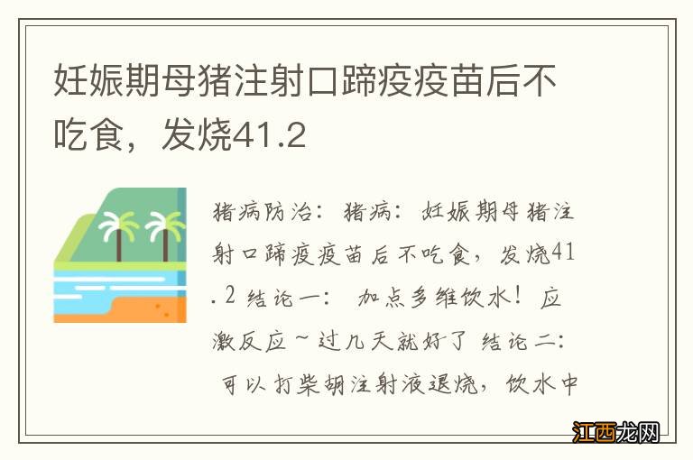 妊娠期母猪注射口蹄疫疫苗后不吃食，发烧41.2