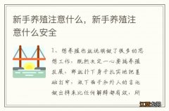 新手养殖注意什么，新手养殖注意什么安全