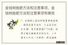 金钱树施肥方法和注意事项，金钱树施肥方法和注意事项有哪些