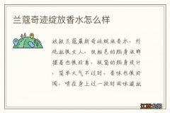 兰蔻奇迹绽放香水怎么样