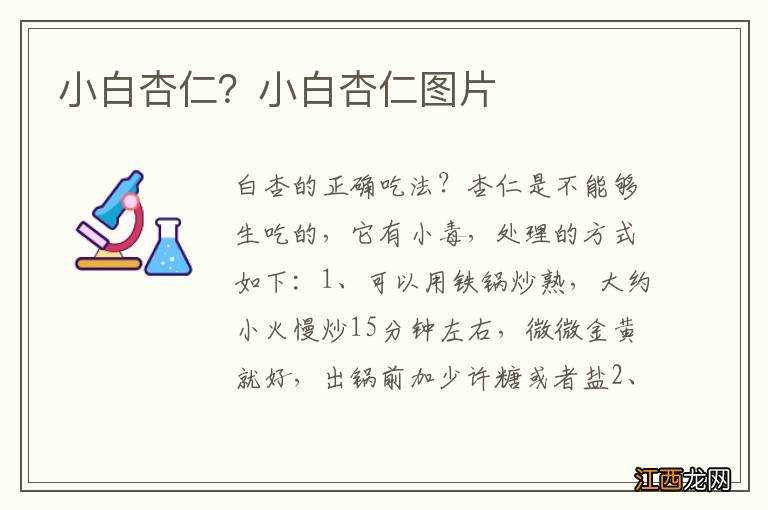 小白杏仁？小白杏仁图片