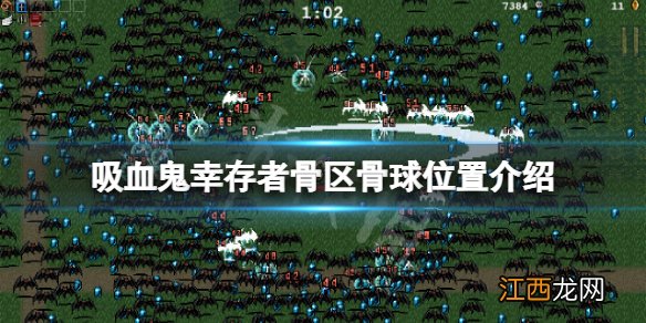 吸血鬼幸存者骨区骨球在哪-吸血鬼幸存者骨区骨球位置介绍
