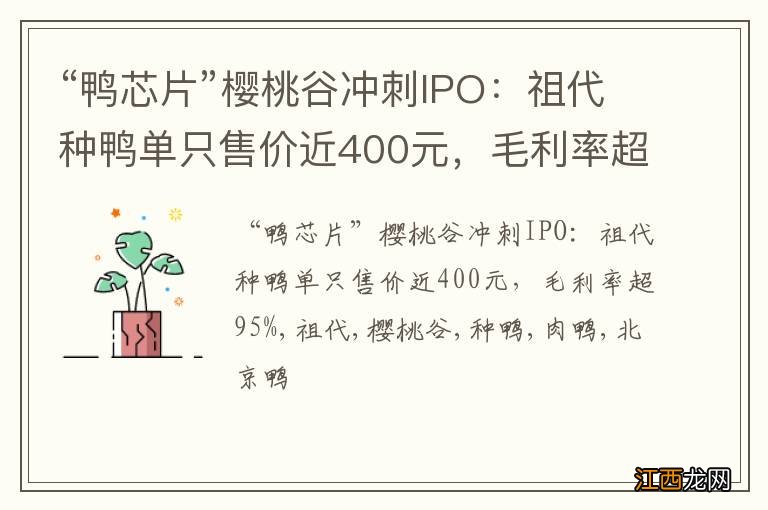 “鸭芯片”樱桃谷冲刺IPO：祖代种鸭单只售价近400元，毛利率超95%