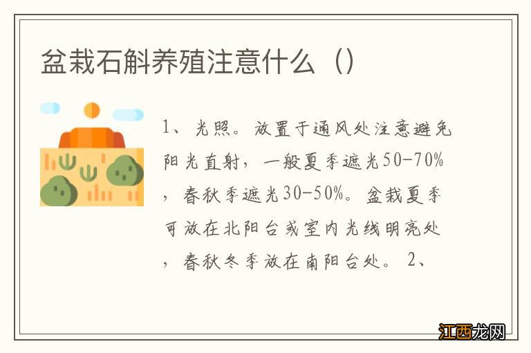 盆栽石斛养殖注意什么