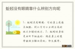 蚯蚓没有眼睛靠什么辨别方向呢