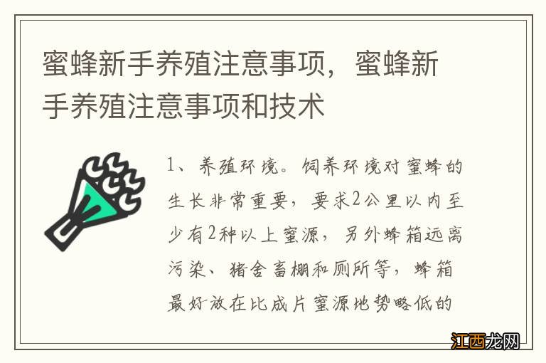 蜜蜂新手养殖注意事项，蜜蜂新手养殖注意事项和技术