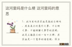 这河里吗是什么梗 这河里吗的意思