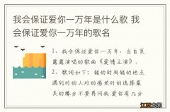 我会保证爱你一万年是什么歌 我会保证爱你一万年的歌名