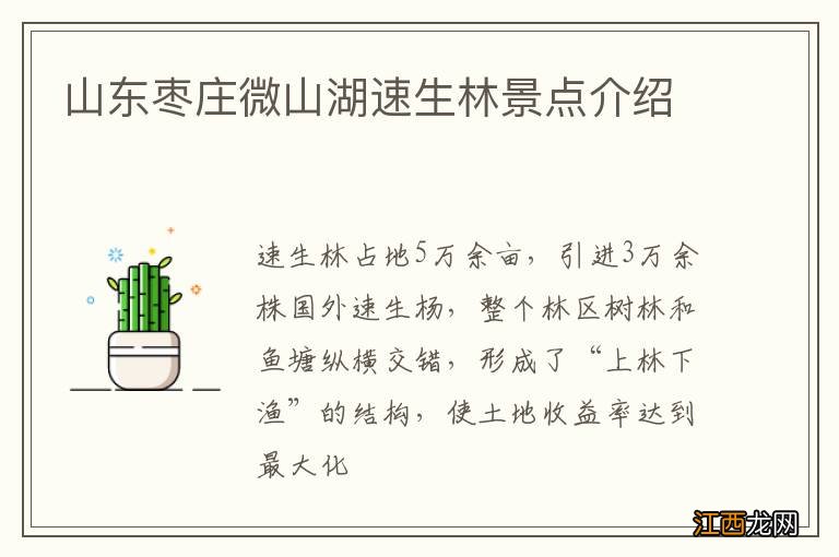 山东枣庄微山湖速生林景点介绍