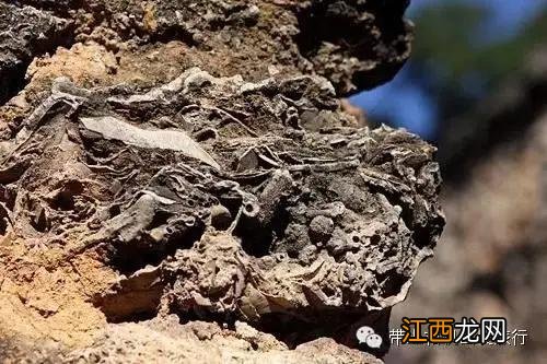 云南传说中的十一大邪地！你敢去玩吗？