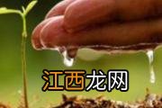 夏天手脚冰凉是怎么回事