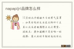 napapijri品牌怎么样