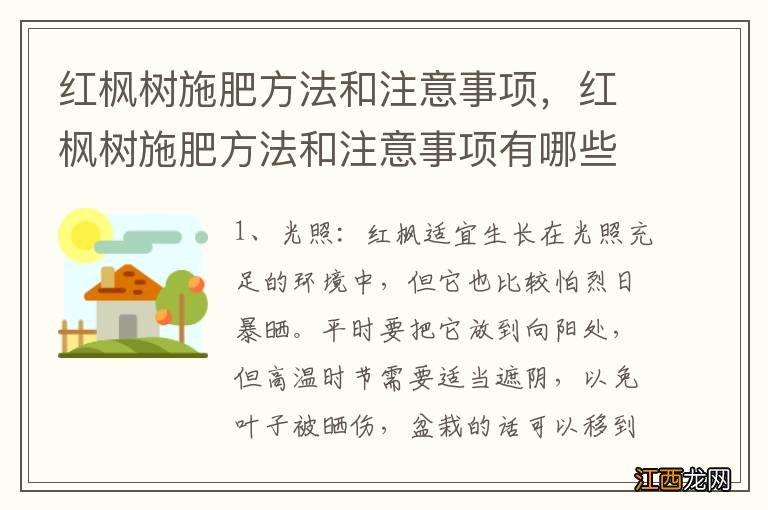 红枫树施肥方法和注意事项，红枫树施肥方法和注意事项有哪些