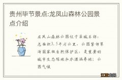 贵州毕节景点:龙凤山森林公园景点介绍