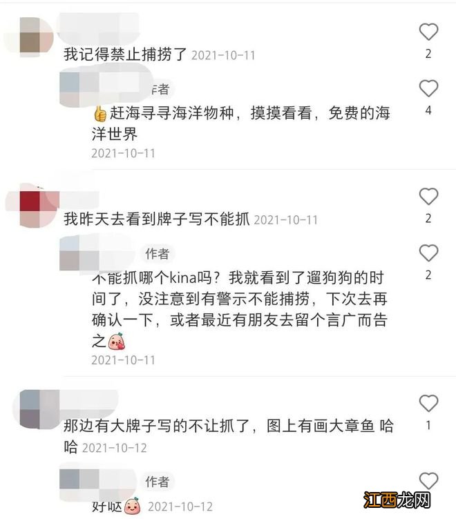 奥克兰附近这处赶海胜地，海星都要被吃完了！当地人警告......