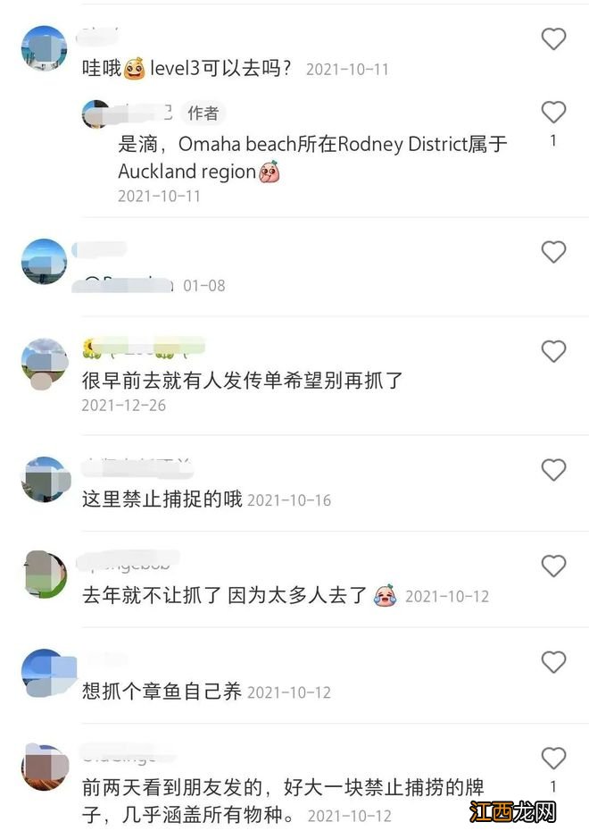 奥克兰附近这处赶海胜地，海星都要被吃完了！当地人警告......