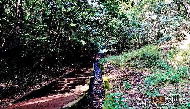 秋高气爽徒步昆明西郊玉案山中的妙高寺