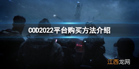 COD2022哪个平台可以购买-平台购买方法介绍