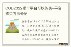 COD2022哪个平台可以购买-平台购买方法介绍