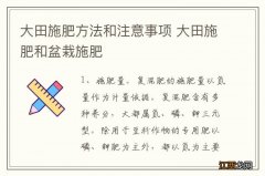 大田施肥方法和注意事项 大田施肥和盆栽施肥