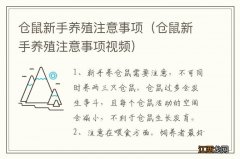 仓鼠新手养殖注意事项视频 仓鼠新手养殖注意事项