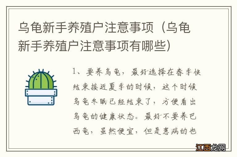 乌龟新手养殖户注意事项有哪些 乌龟新手养殖户注意事项