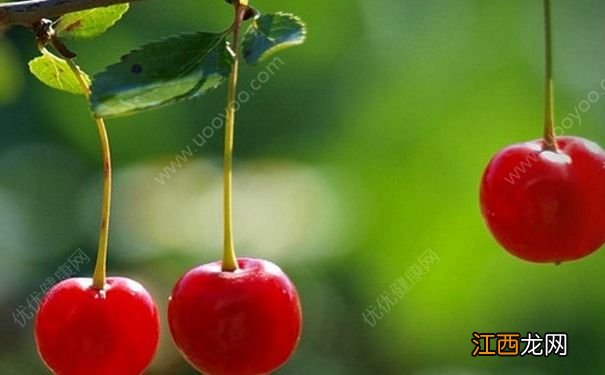 樱桃有什么作用和功效？樱桃吃多了会有什么坏处？