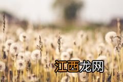 吃桃过敏怎么办？吃桃禁忌有哪些？