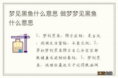 梦见黑鱼什么意思 做梦梦见黑鱼什么意思