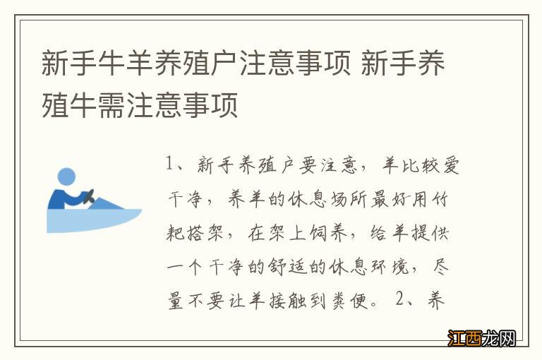 新手牛羊养殖户注意事项 新手养殖牛需注意事项