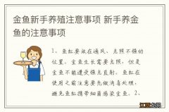 金鱼新手养殖注意事项 新手养金鱼的注意事项