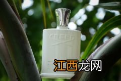 擦素颜霜之前要涂妆前乳吗？妆前乳跟素颜霜的使用顺序？