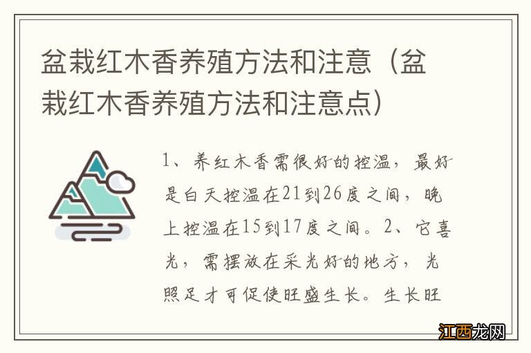 盆栽红木香养殖方法和注意点 盆栽红木香养殖方法和注意