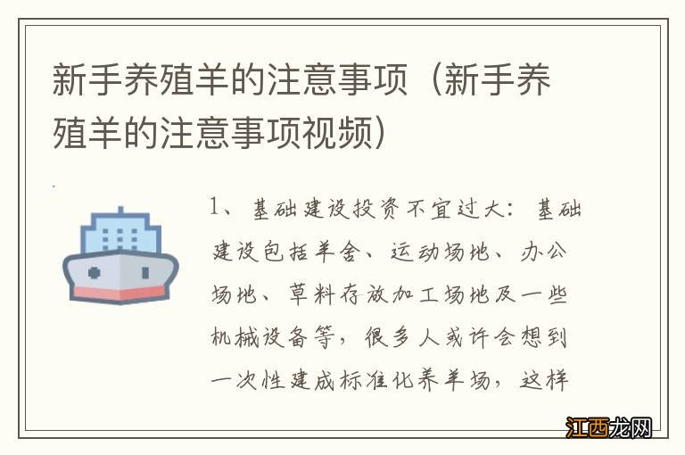 新手养殖羊的注意事项视频 新手养殖羊的注意事项