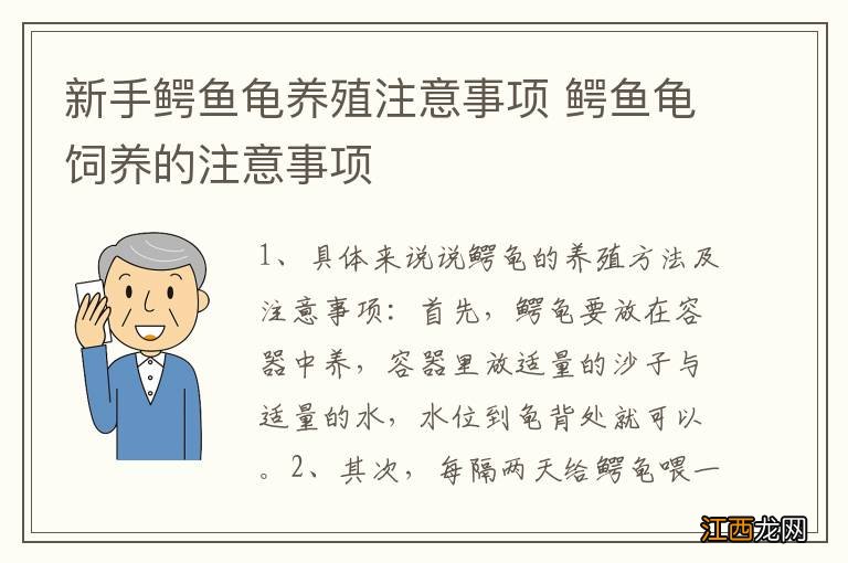 新手鳄鱼龟养殖注意事项 鳄鱼龟饲养的注意事项