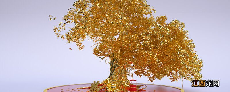 招财树和发财树哪个好养 招财树和发财树哪个好