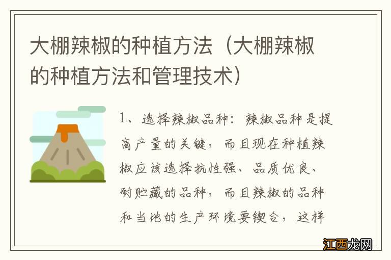 大棚辣椒的种植方法和管理技术 大棚辣椒的种植方法