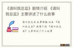 《请叫我总监》剧情介绍 《请叫我总监》主要讲述了什么故事