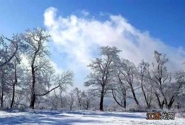 长白天下雪·燃 尽赏2022年通化市的冬天