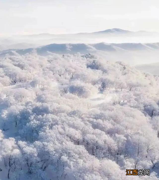 长白天下雪·燃 尽赏2022年通化市的冬天