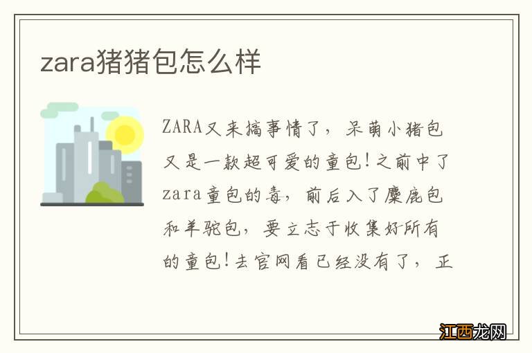 zara猪猪包怎么样