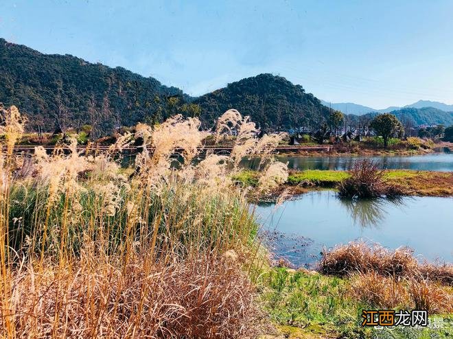 距杭州2小时古村，依山傍水人少景美，适合遛娃赏秋还有秋季花海