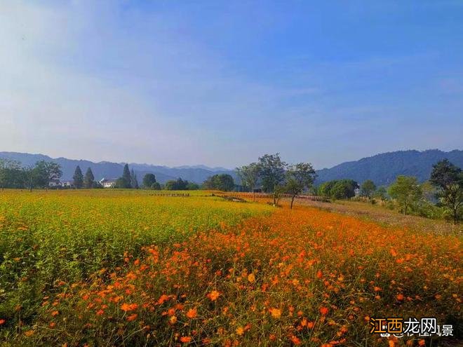 距杭州2小时古村，依山傍水人少景美，适合遛娃赏秋还有秋季花海