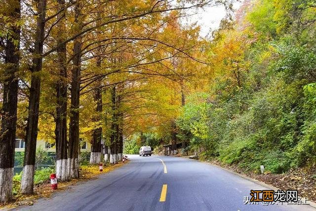 秋日限定！汉中秦岭深处的极致美景，去过的人都说美