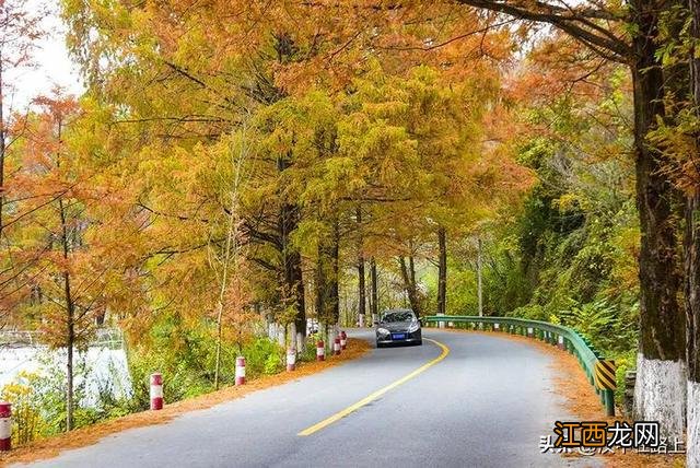 秋日限定！汉中秦岭深处的极致美景，去过的人都说美