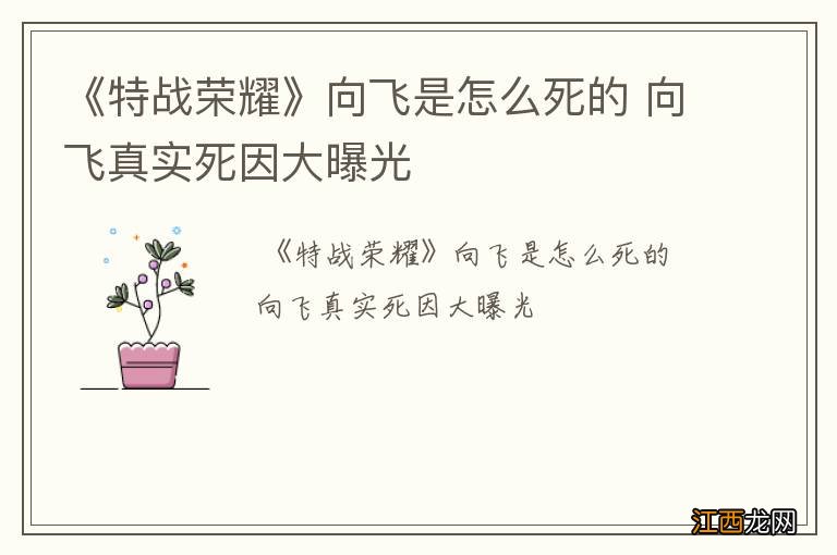 《特战荣耀》向飞是怎么死的 向飞真实死因大曝光