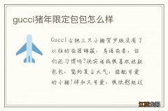 gucci猪年限定包包怎么样