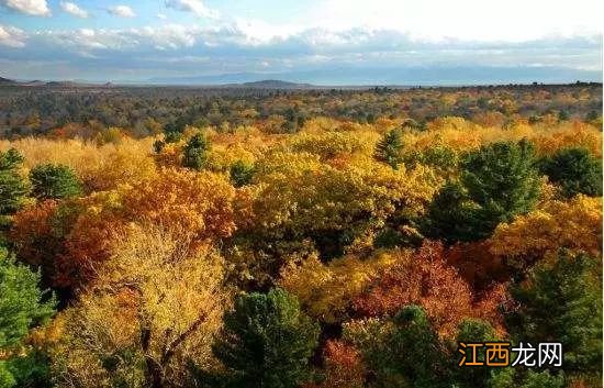 坐上开往长白山的绿皮火车，风景美到不敢眨眼睛！