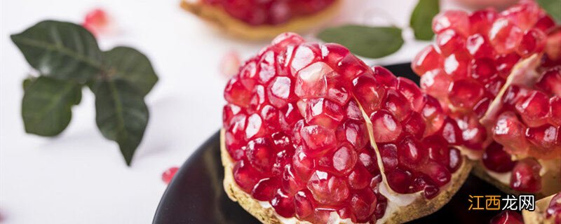 月季石榴和牡丹石榴的区别图片 月季石榴和牡丹石榴的区别