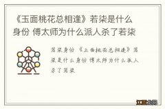 《玉面桃花总相逢》若柒是什么身份 傅太师为什么派人杀了若柒